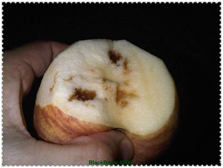 怎么样选择有实力的锌钢护栏厂家